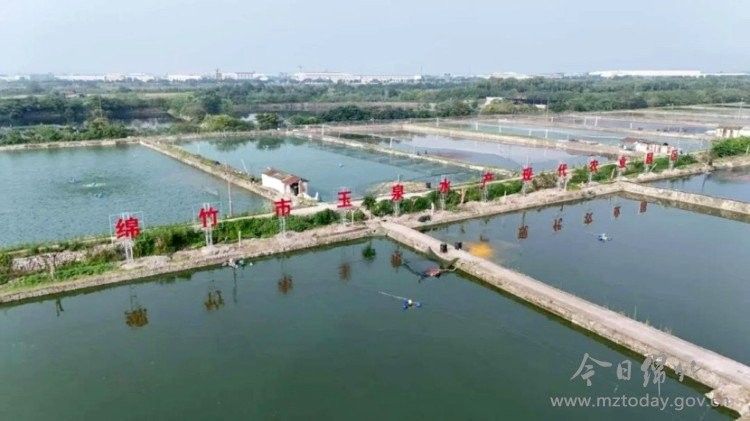 綿竹開水族店怎么樣？加盟祥龍魚場賣龍魚市場怎樣？