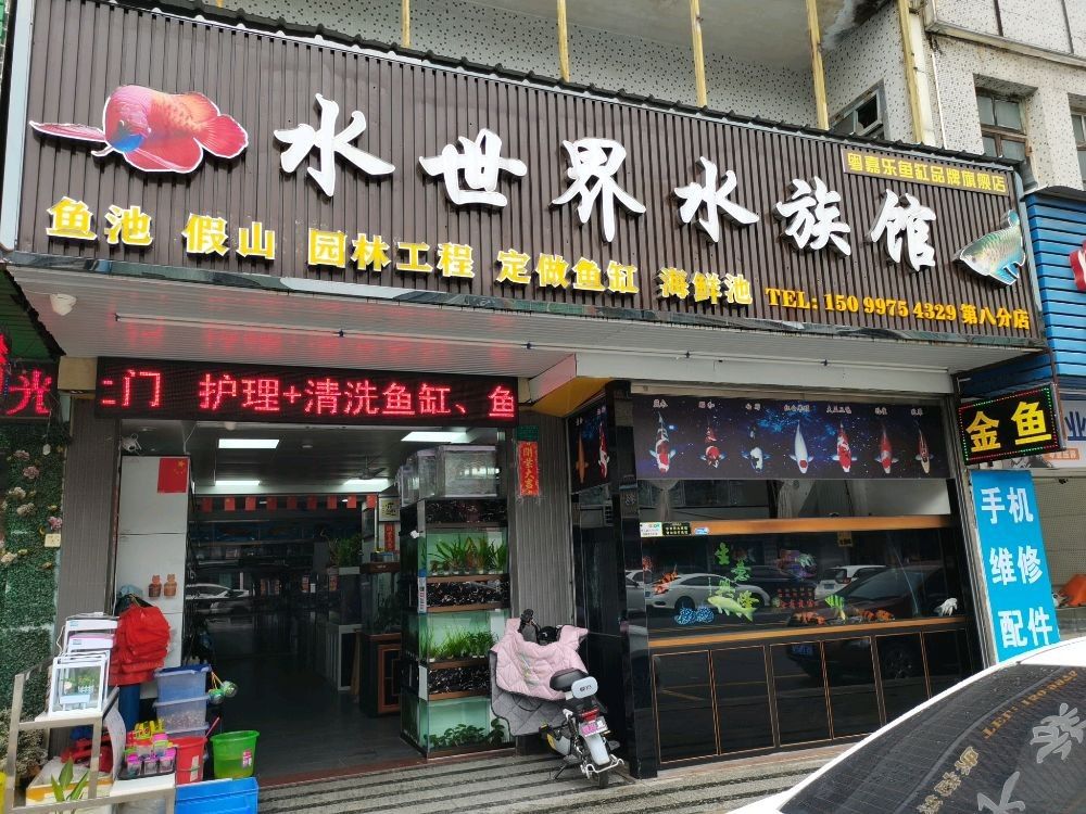 松山開水族店怎么樣？加盟祥龍魚場賣龍魚市場怎樣？