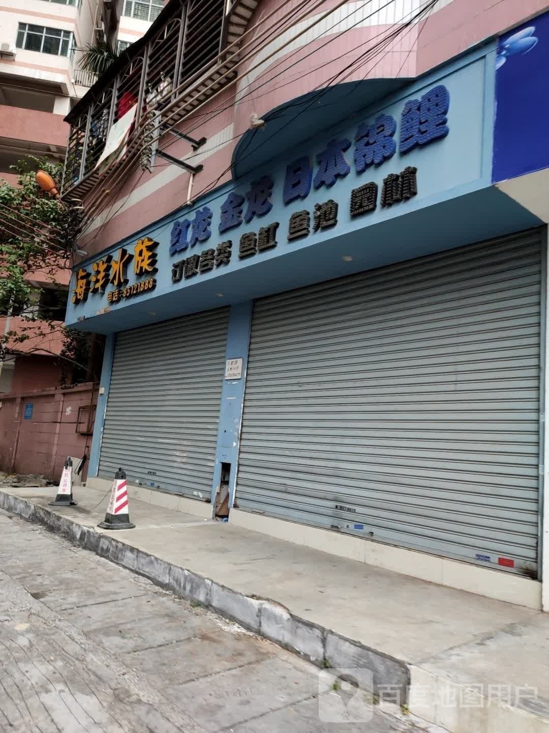 松山開水族店怎么樣？加盟祥龍魚場賣龍魚市場怎樣？