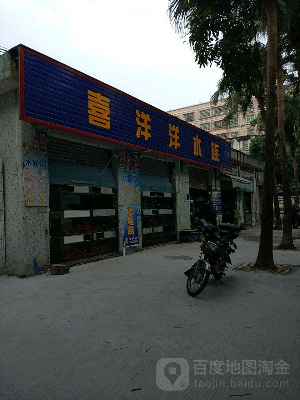 茂南開水族店怎么樣？加盟祥龍魚場賣龍魚市場怎樣？