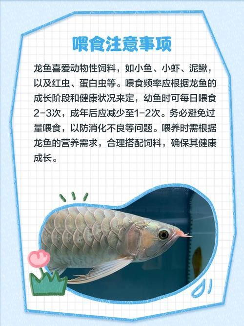 茂南開水族店怎么樣？加盟祥龍魚場賣龍魚市場怎樣？
