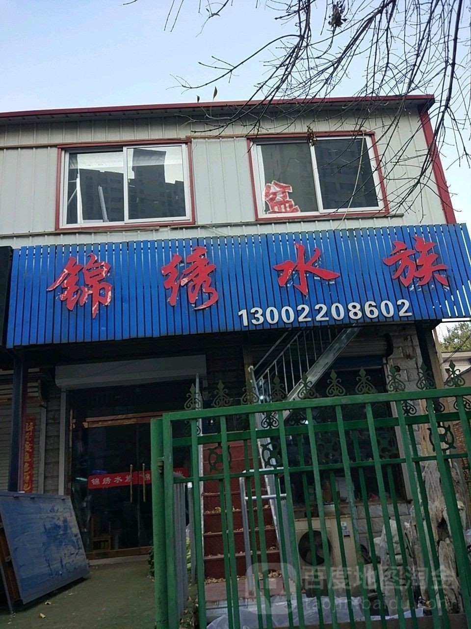 靜海開水族店怎么樣？加盟祥龍魚場賣龍魚市場怎樣？