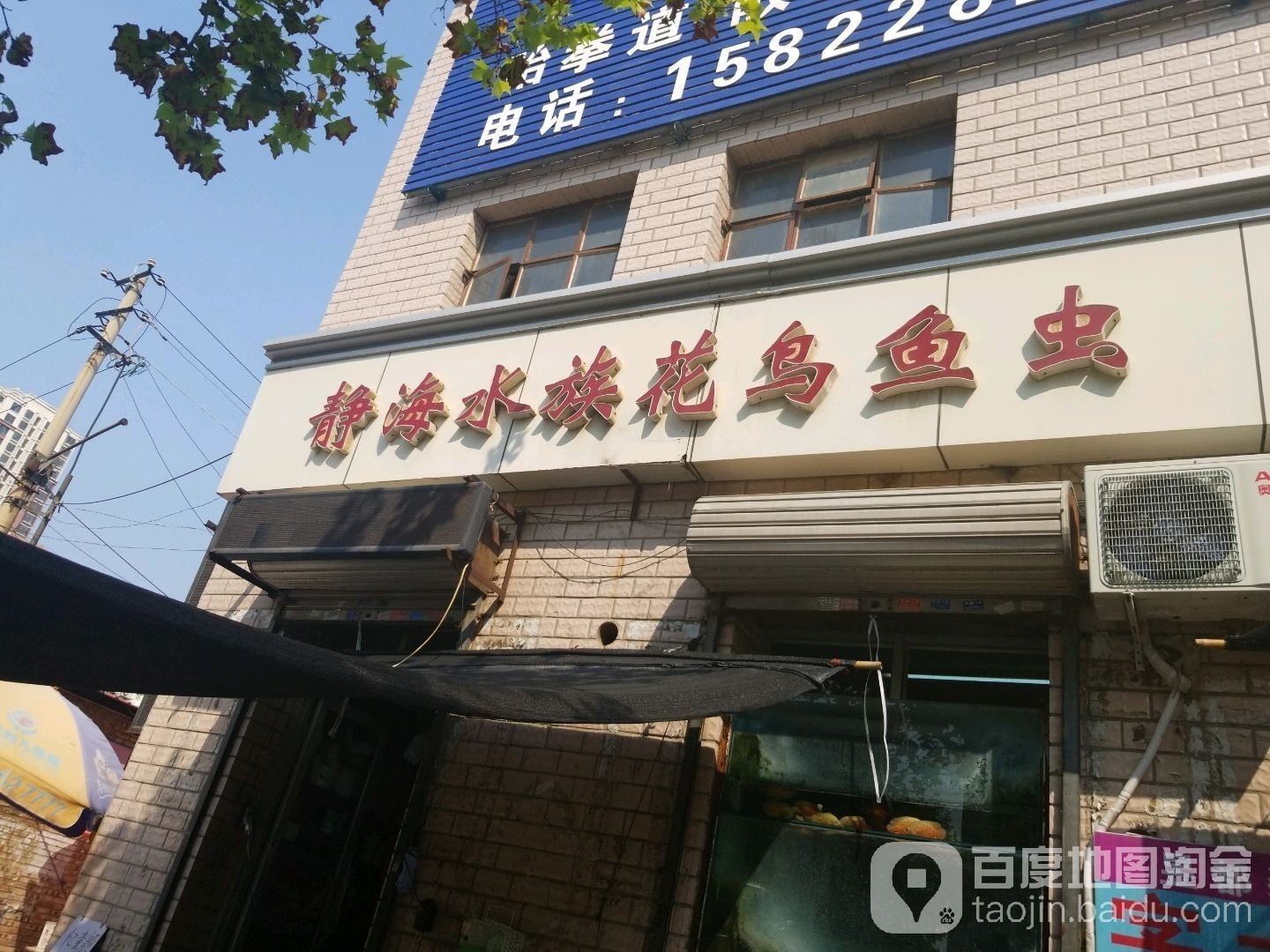 靜海開水族店怎么樣？加盟祥龍魚場賣龍魚市場怎樣？