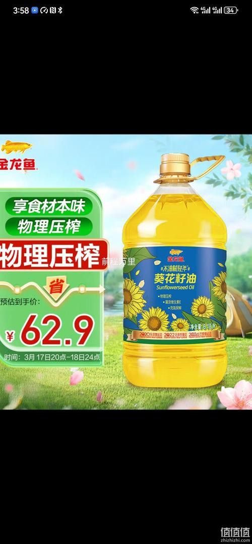 50cm高背金龍魚需要什么樣的過濾系統？