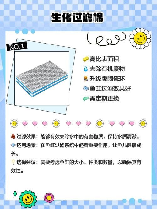 50cm高背金龍魚需要什么樣的過濾系統？