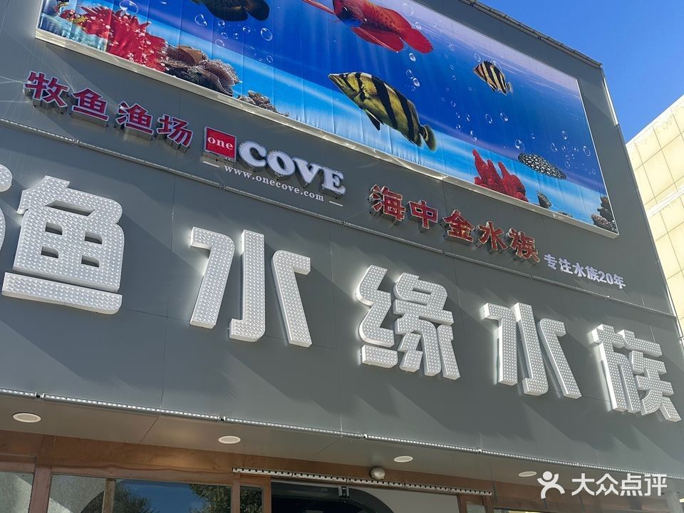 霸州開水族店怎么樣？加盟祥龍魚場賣龍魚市場怎樣？