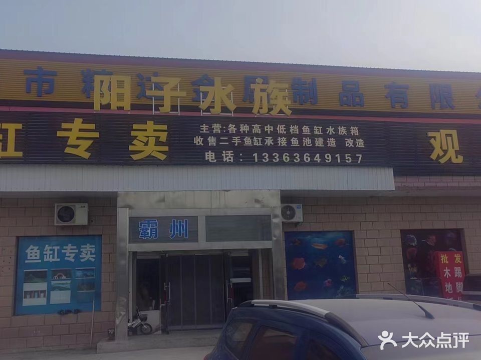霸州開水族店怎么樣？加盟祥龍魚場賣龍魚市場怎樣？