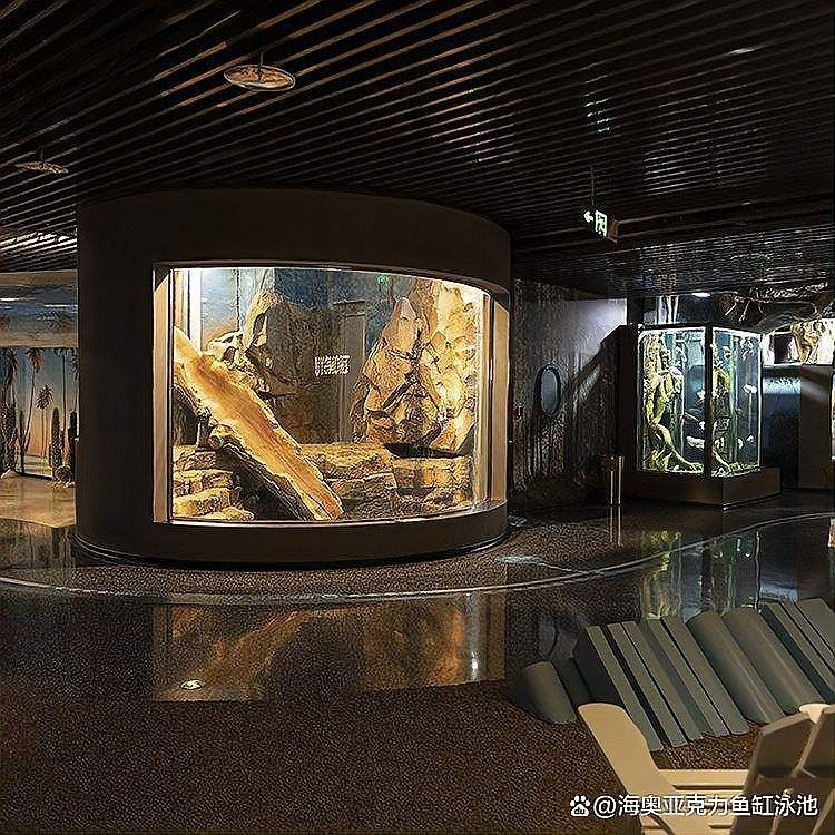 靈武開水族店怎么樣？加盟祥龍魚場賣龍魚市場怎樣？ 靈武開水族店怎么樣？加盟祥龍魚場賣龍魚市場怎樣？ 水族館百科（水族館加盟） 第12張