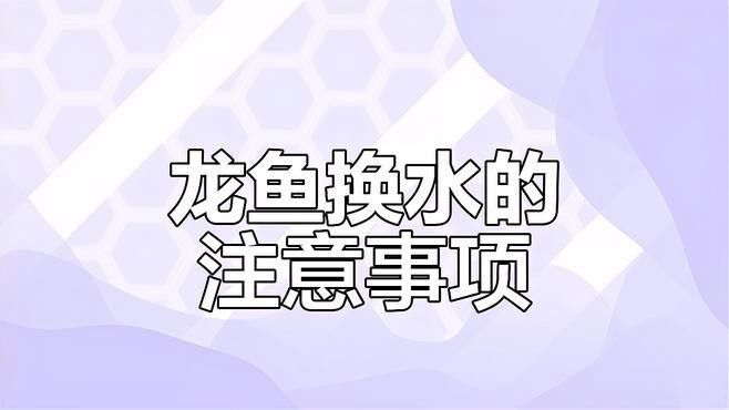 如何給小火龍魚換水？