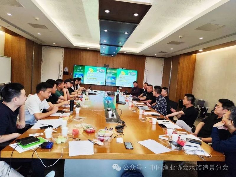 新市開水族店怎么樣？加盟祥龍魚場賣龍魚市場怎樣？