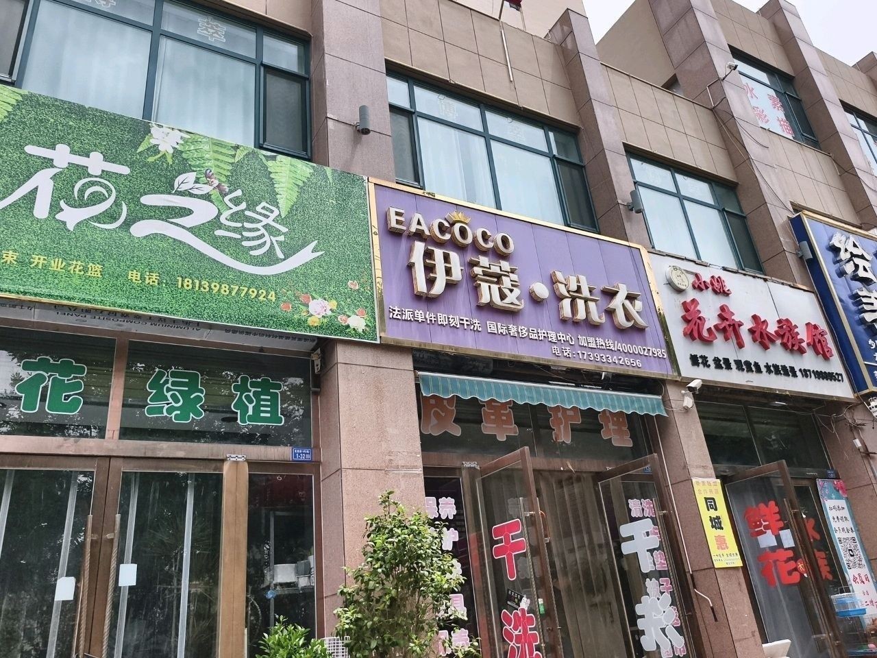 平?jīng)鲩_水族店怎么樣？加盟祥龍魚場賣龍魚市場怎樣？