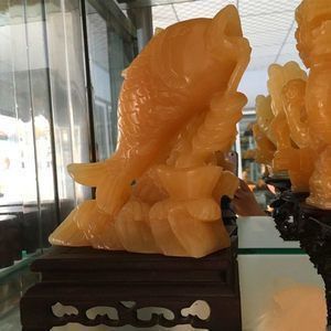 金龍魚玉石
