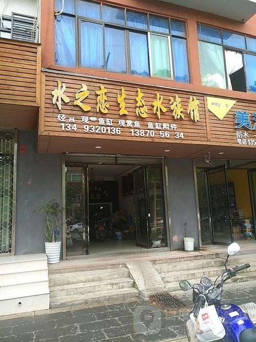 橫峰開水族店怎么樣？加盟祥龍魚場賣龍魚市場怎樣？