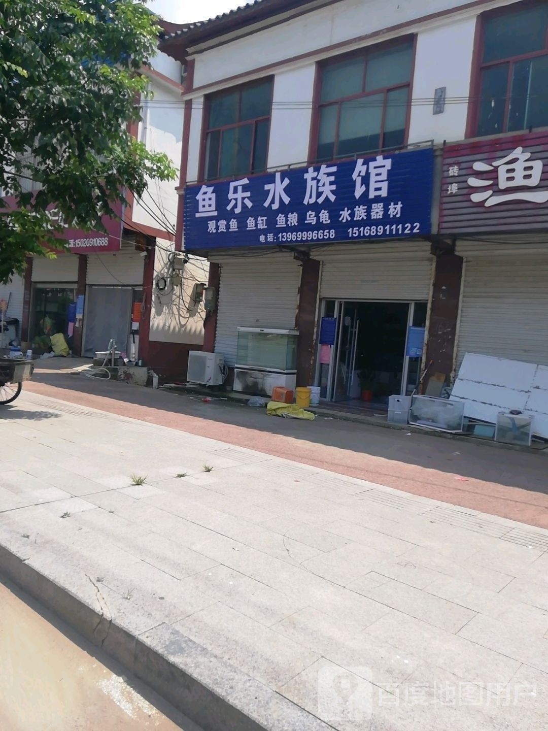 沂南開水族店怎么樣？加盟祥龍魚場賣龍魚市場怎樣？