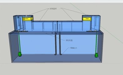 魚缸設計方案圖片（魚缸設計方案圖片教程魚缸設計方案圖片大全）