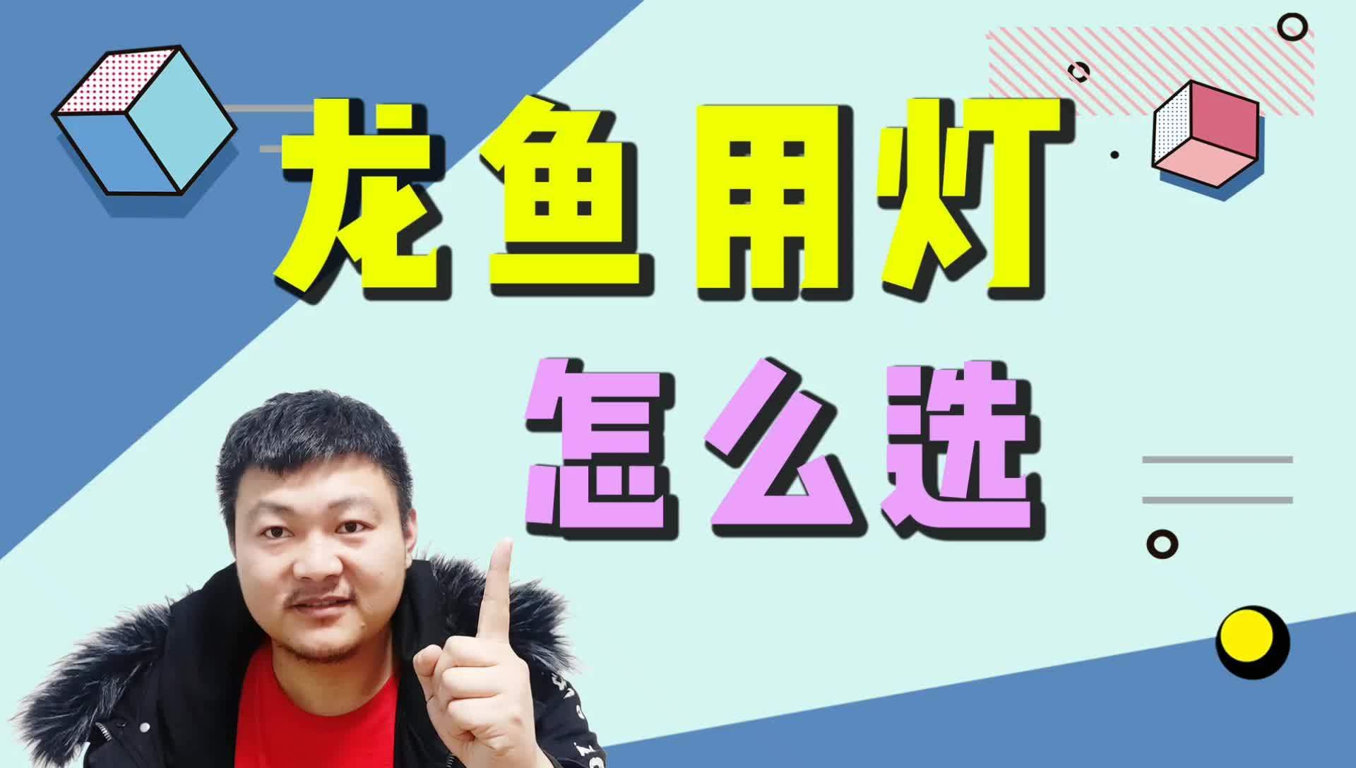 如何選擇適合龍魚的燈光？