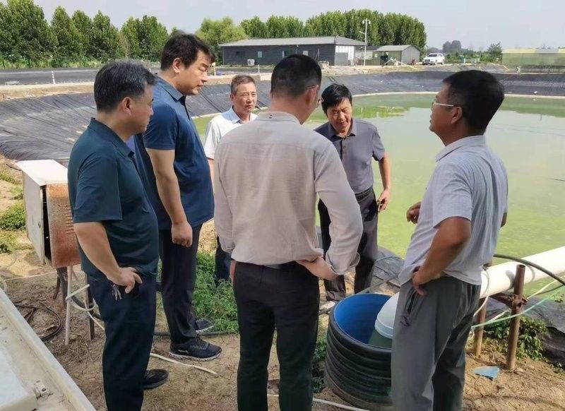 寧都開水族店怎么樣？加盟祥龍魚場賣龍魚市場怎樣？