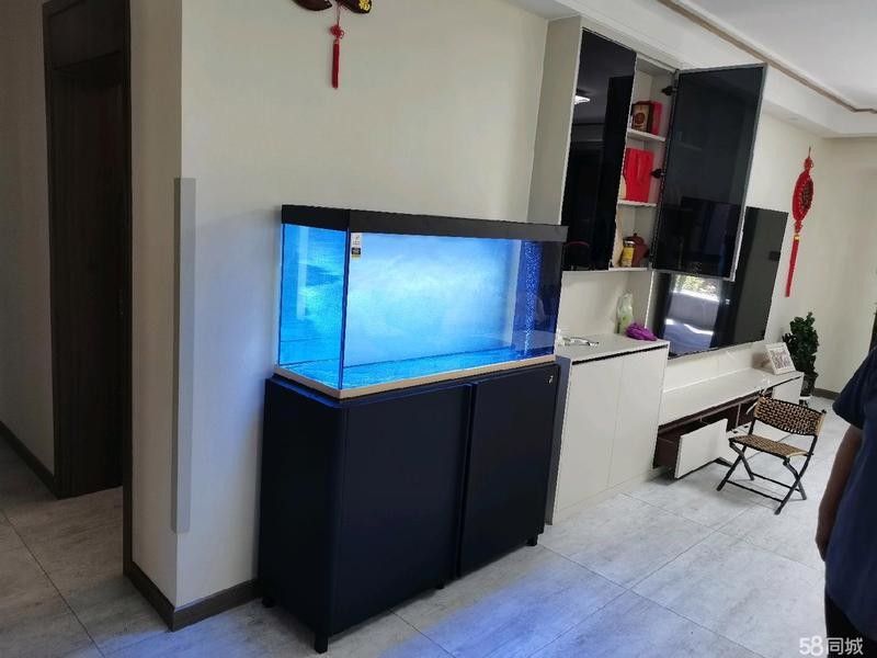 克拉瑪依開水族店怎么樣？加盟祥龍魚場賣龍魚市場怎樣？