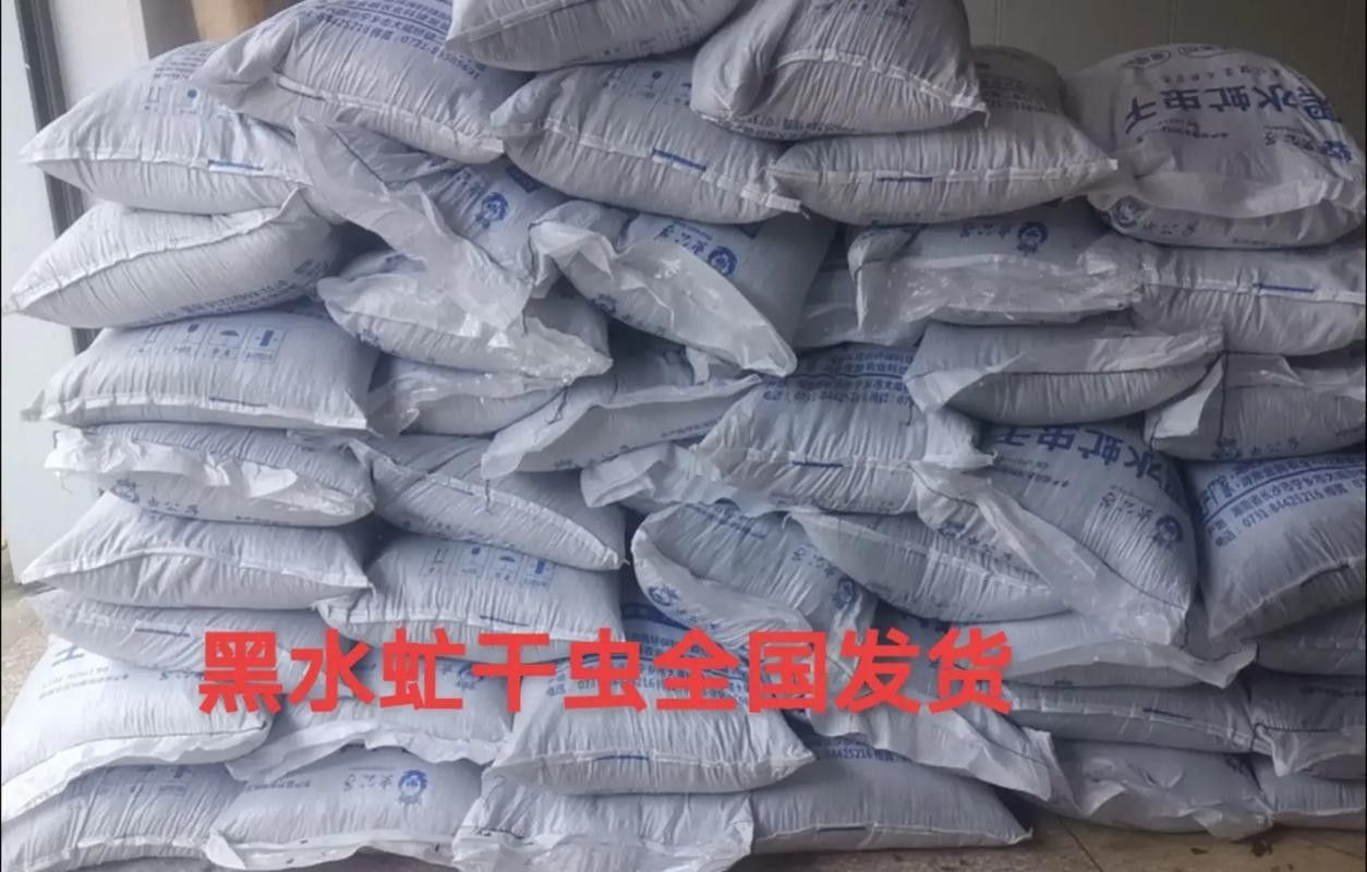 龍魚黑水虻