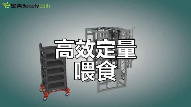 龍魚黑水虻