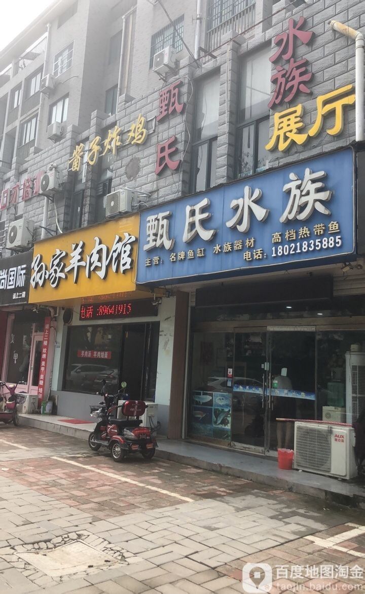 沛縣開水族店怎么樣？加盟祥龍魚場(chǎng)賣龍魚市場(chǎng)怎樣？