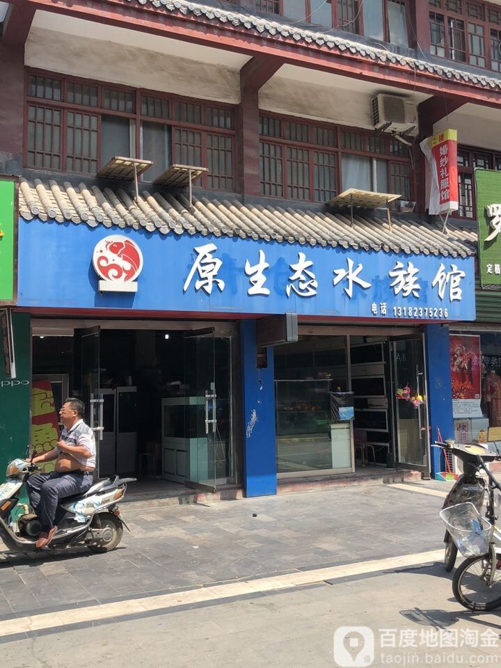沛縣開水族店怎么樣？加盟祥龍魚場(chǎng)賣龍魚市場(chǎng)怎樣？