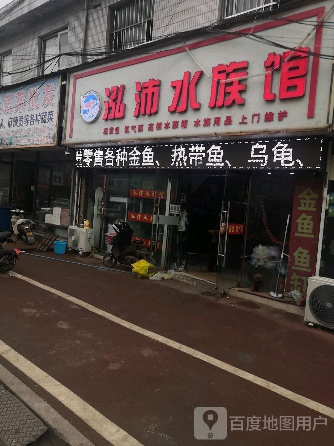 沛縣開水族店怎么樣？加盟祥龍魚場(chǎng)賣龍魚市場(chǎng)怎樣？