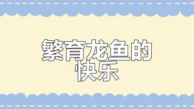 紅龍魚繁殖需要哪些條件？