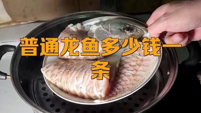 墊江開水族店怎么樣？加盟祥龍魚場賣龍魚市場怎樣？