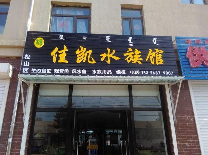 赤峰開水族店怎么樣？加盟祥龍魚場賣龍魚市場怎樣？