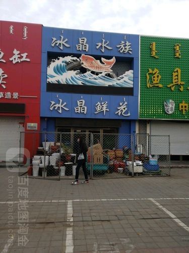 赤峰開水族店怎么樣？加盟祥龍魚場賣龍魚市場怎樣？