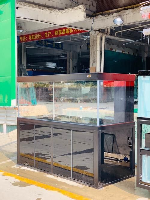 赤峰開水族店怎么樣？加盟祥龍魚場賣龍魚市場怎樣？