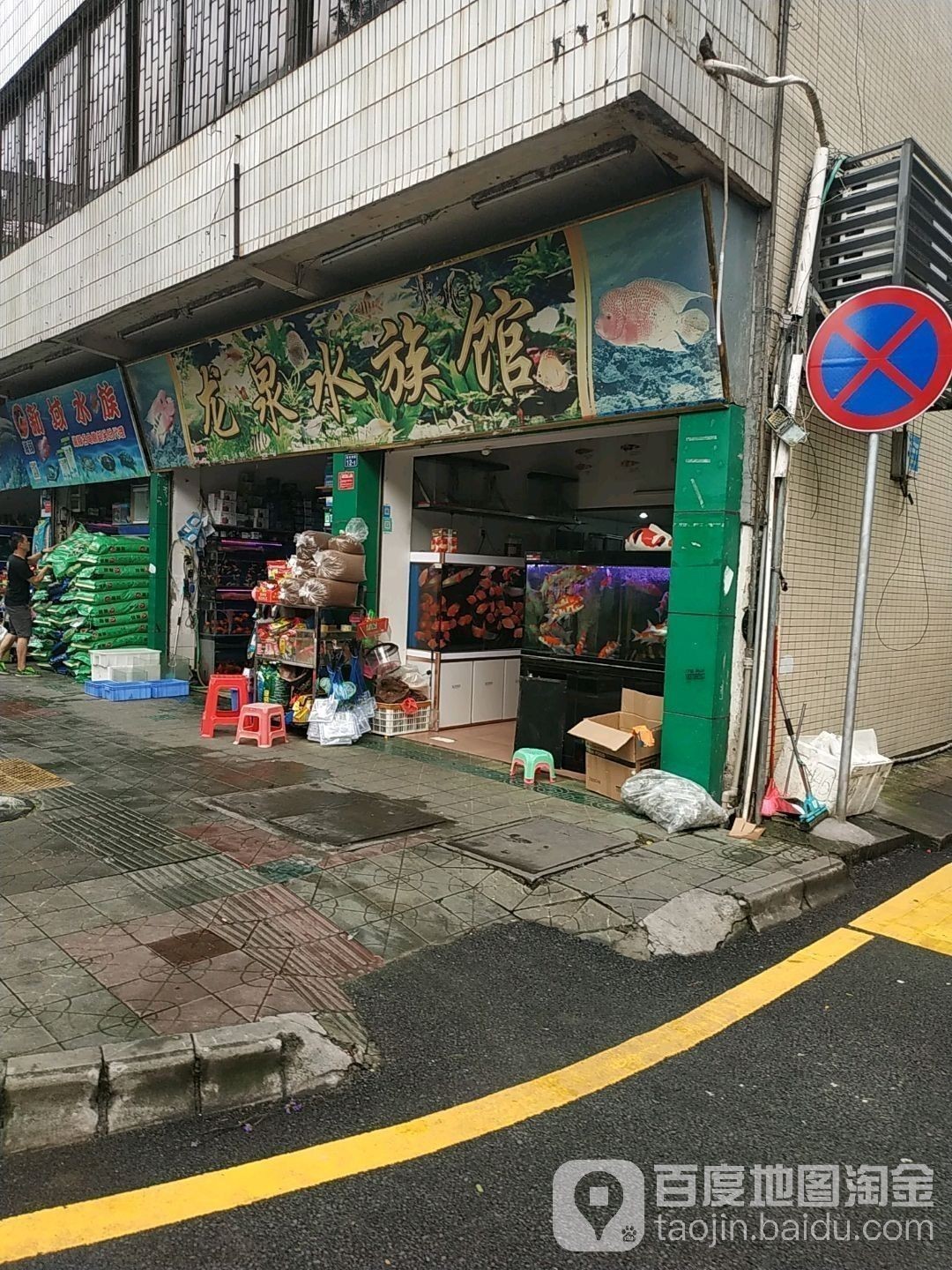 醴陵開水族店怎么樣？加盟祥龍魚場賣龍魚市場怎樣？