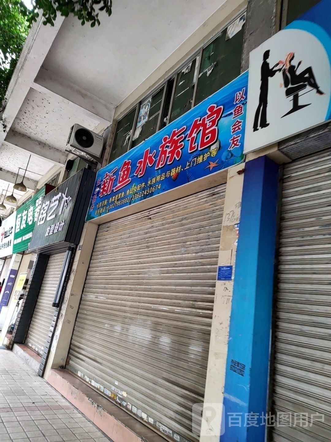 醴陵開水族店怎么樣？加盟祥龍魚場賣龍魚市場怎樣？