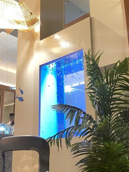 泉州開水族店怎么樣？加盟祥龍魚場賣龍魚市場怎樣？