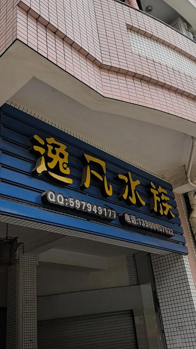 泉州開水族店怎么樣？加盟祥龍魚場賣龍魚市場怎樣？