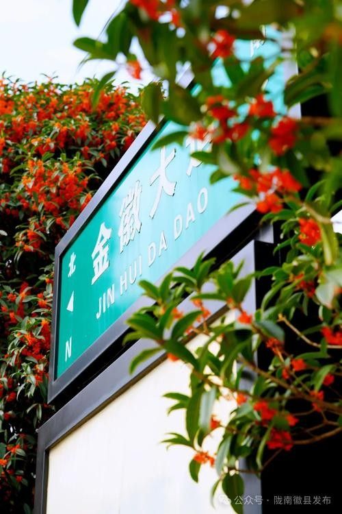 徽縣開水族店怎么樣？加盟祥龍魚場賣龍魚市場怎樣？