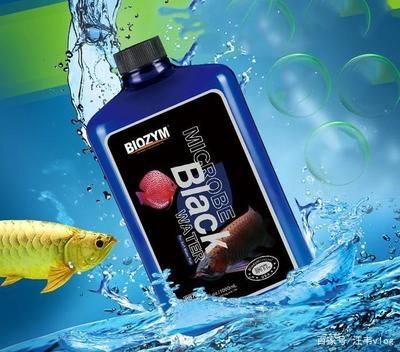 龍魚換水是否可以直接使用自來水（龍魚可以直接使用自來水換水嗎）