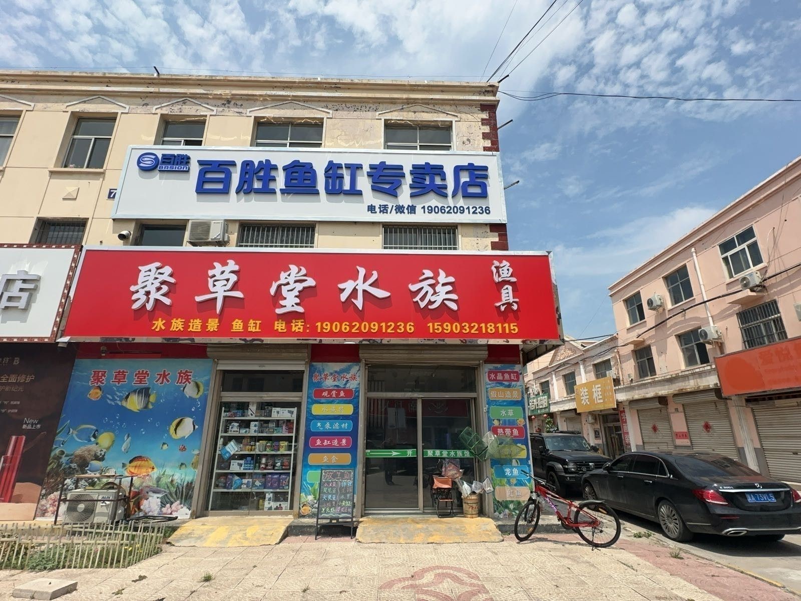 晉州開水族店怎么樣？加盟祥龍魚場賣龍魚市場怎樣？
