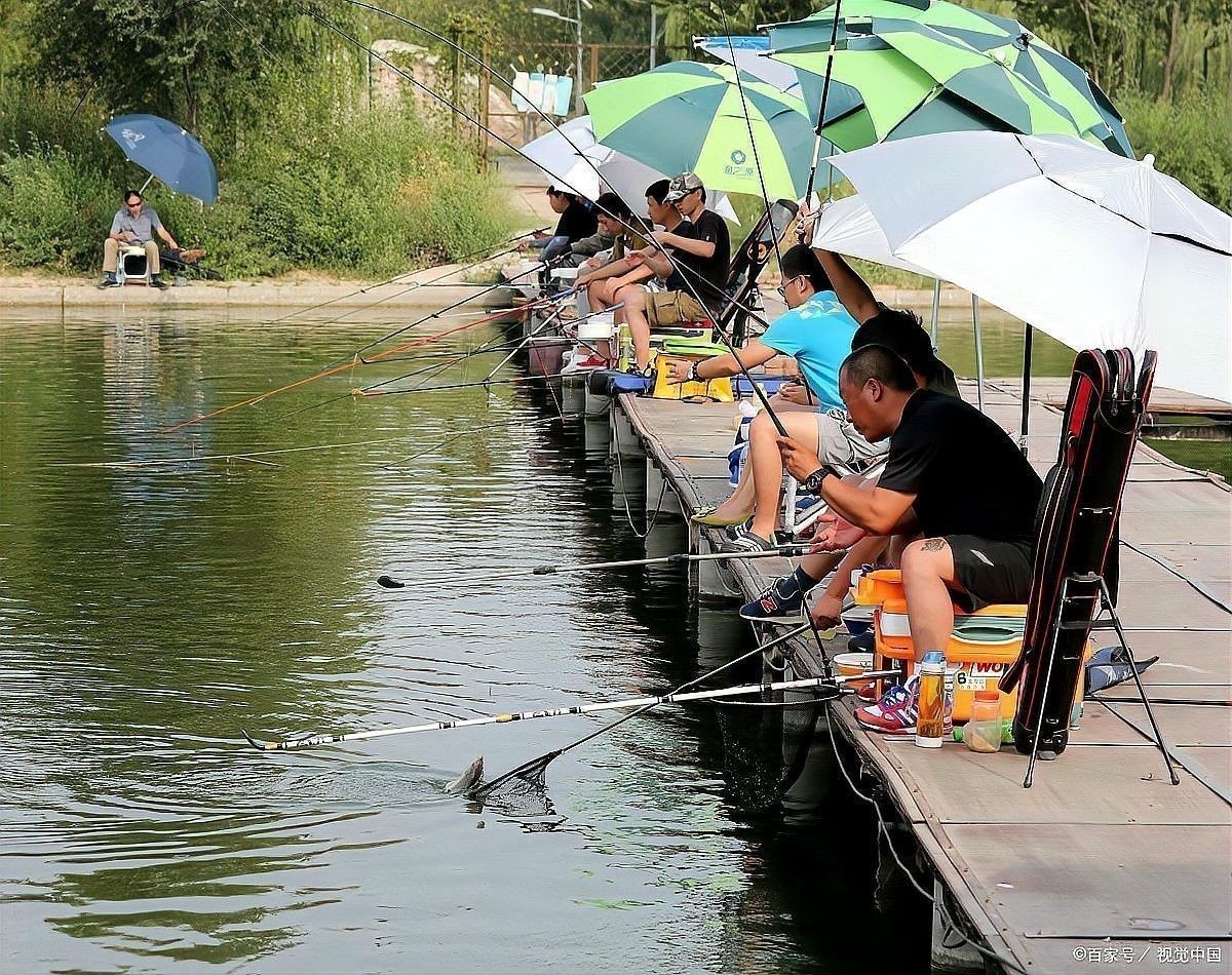 鞏留開水族店怎么樣？加盟祥龍魚場賣龍魚市場怎樣？