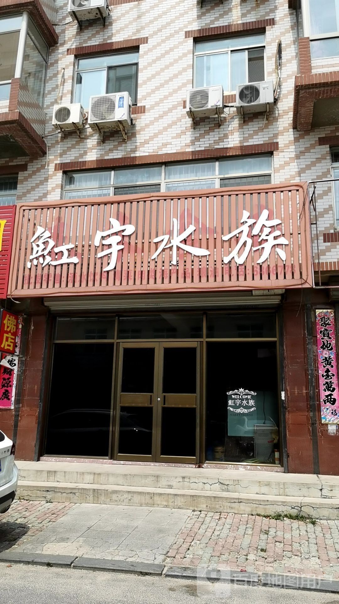 營口開水族店怎么樣？加盟祥龍魚場賣龍魚市場怎樣？