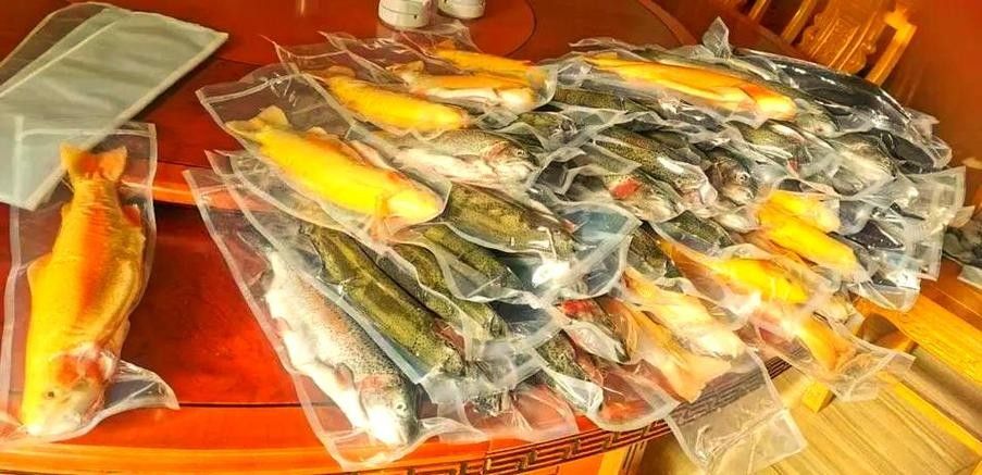 武山開水族店怎么樣？加盟祥龍魚場賣龍魚市場怎樣？