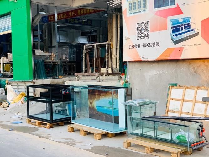 福清開水族店怎么樣？加盟祥龍魚場賣龍魚市場怎樣？