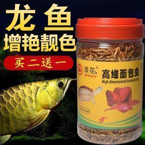 養(yǎng)龍魚放黃粉行嗎：養(yǎng)龍魚使用黃粉時(shí)需要注意以下幾點(diǎn)，養(yǎng)龍魚需要注意