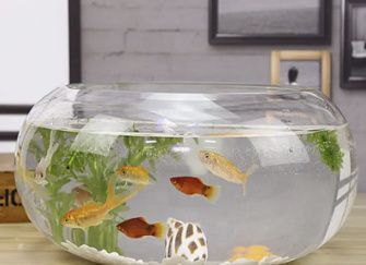 臥室放魚(yú)缸好不好，臥室養(yǎng)魚(yú)缸的衛(wèi)生維護(hù)