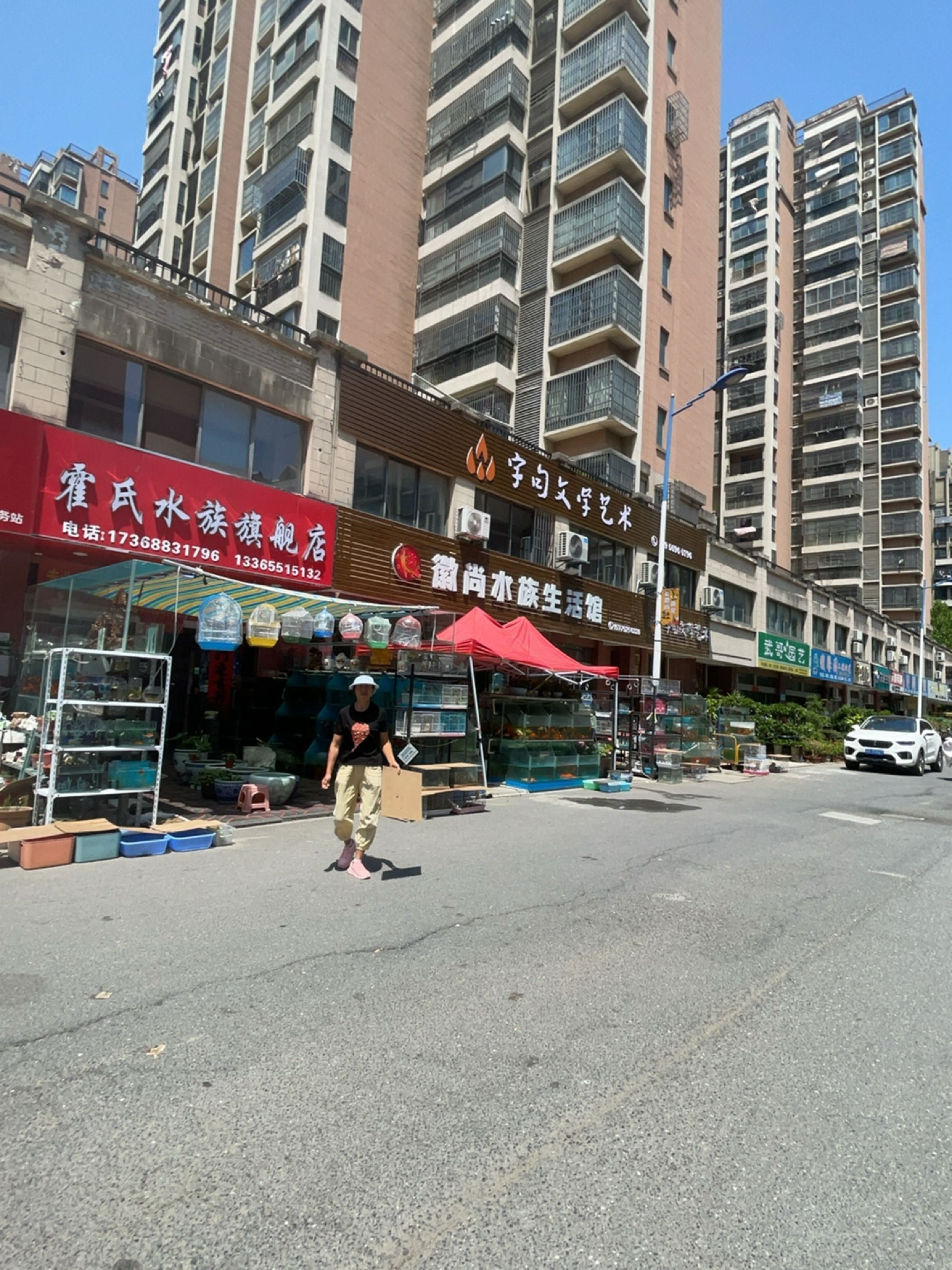 肥東開水族店怎么樣？加盟祥龍魚場賣龍魚市場怎樣？