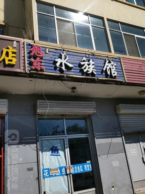 杭錦后旗開水族店怎么樣？加盟祥龍魚場賣龍魚市場怎樣？
