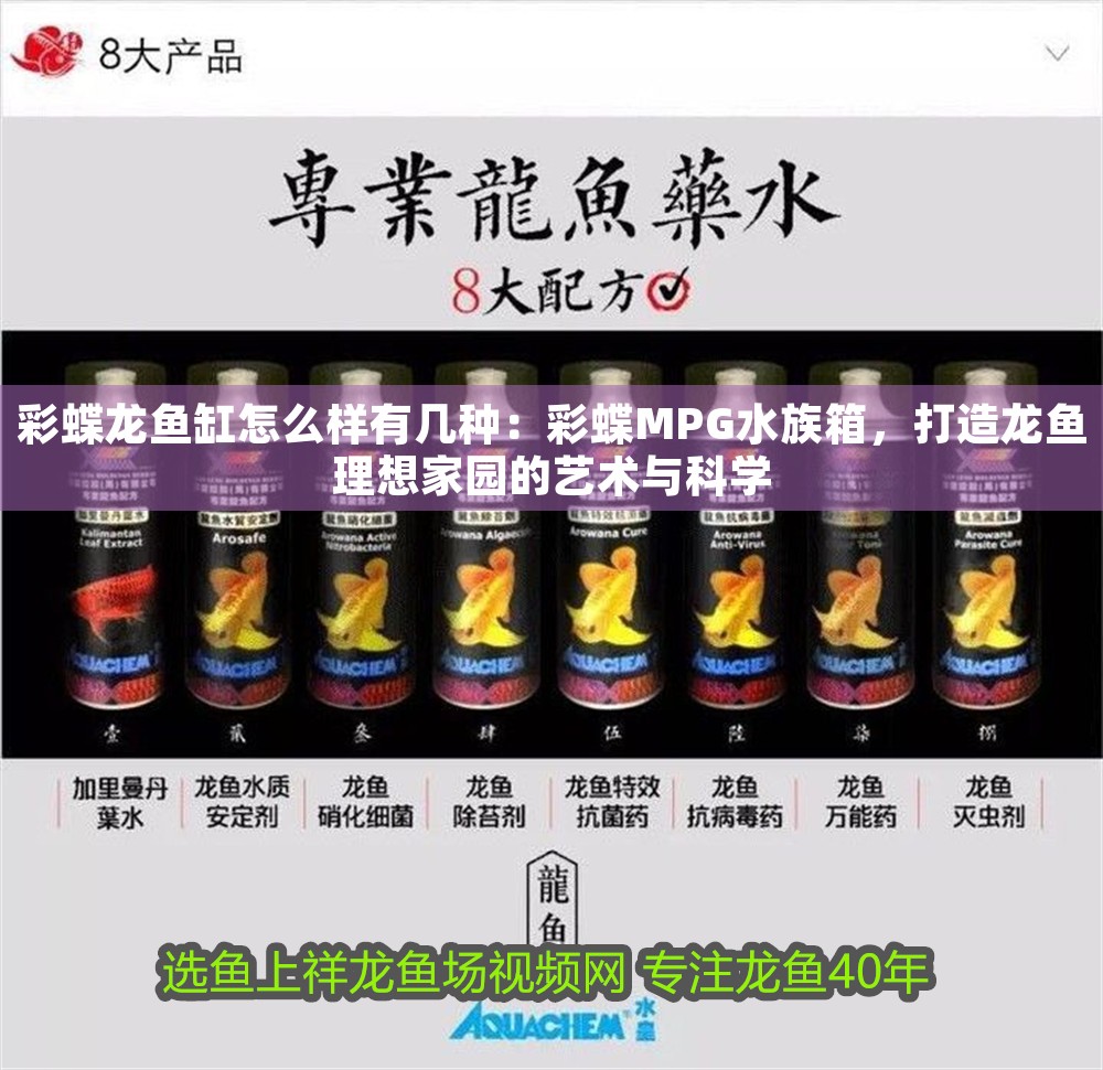 彩蝶龍魚缸怎么樣有幾種：彩蝶MPG水族箱，打造龍魚理想家園的藝術(shù)與科學(xué)