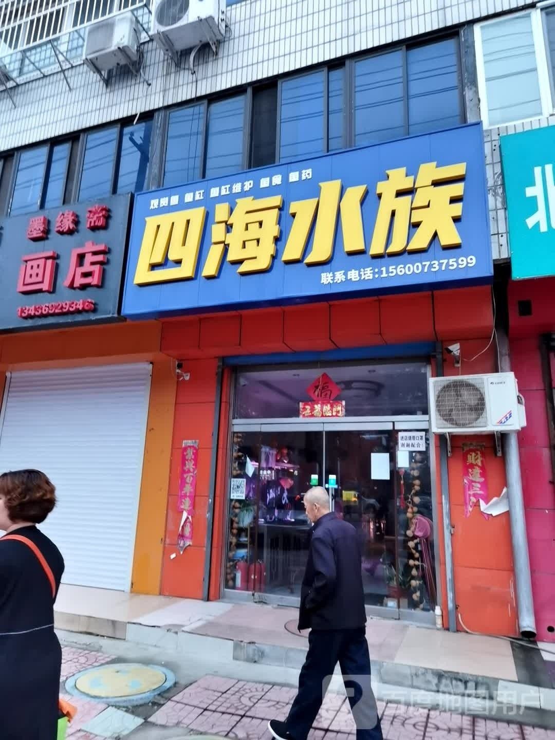 房山開水族店怎么樣？加盟祥龍魚場賣龍魚市場怎樣？