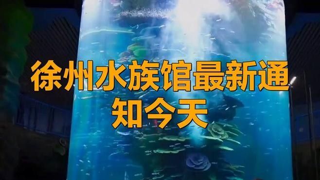 徐州鼓樓開水族店怎么樣？加盟祥龍魚場賣龍魚市場怎樣？